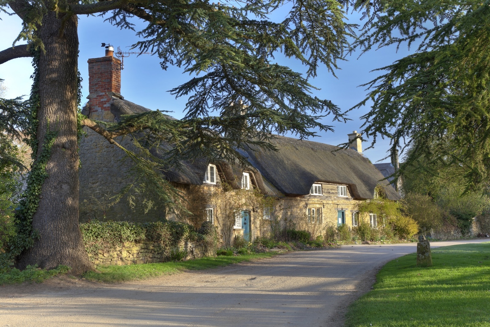 Property Search